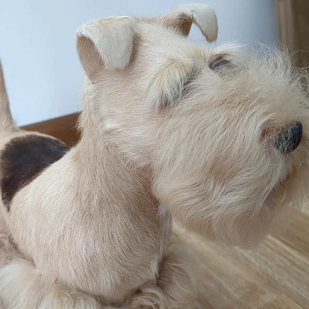 Dog Model Display, Terrior Breed, Lifelike Dog Pet